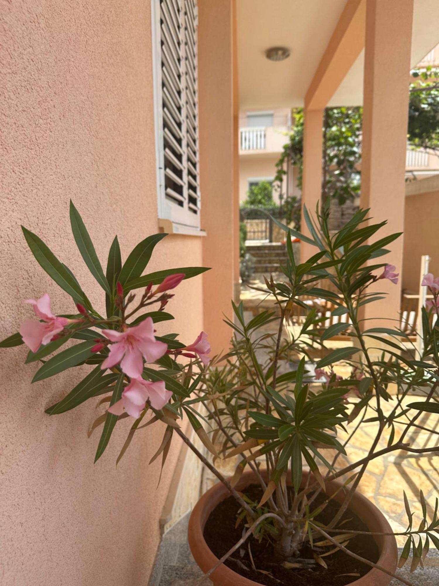 Apartments Zlatka Trogir Exteriör bild